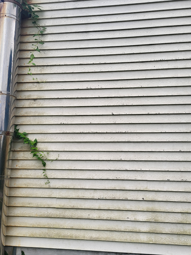 Siding cleaning