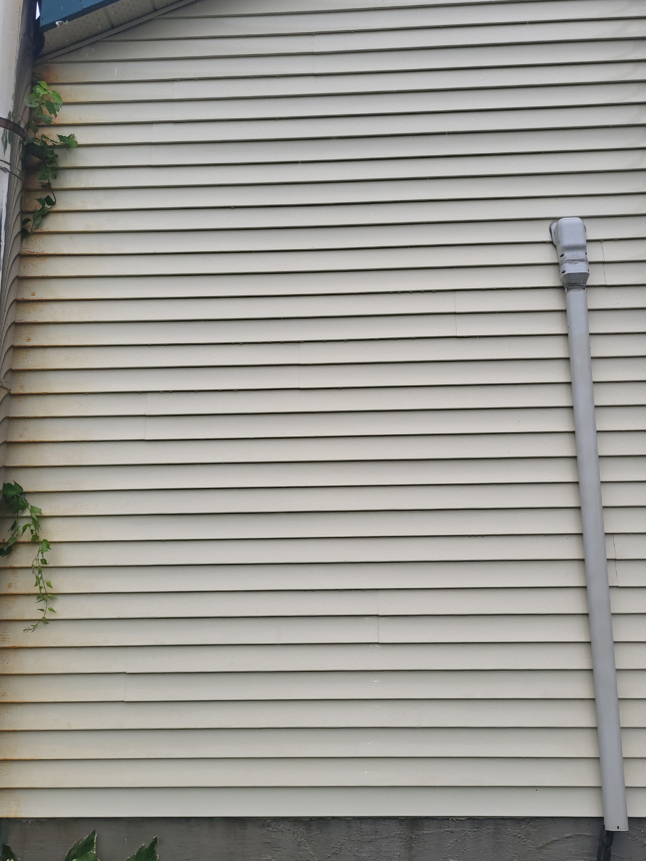 Siding cleaning