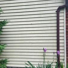 Siding-and-Roof-Cleaning-in-Buckhorn-ON 1
